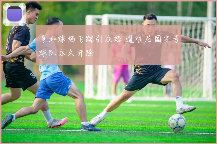 亨加球场飞踹引众怒 遭印尼国字号球队永久开除