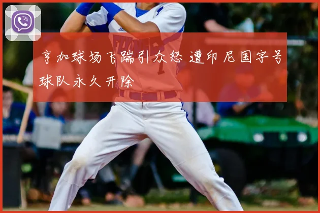 亨加球场飞踹引众怒 遭印尼国字号球队永久开除